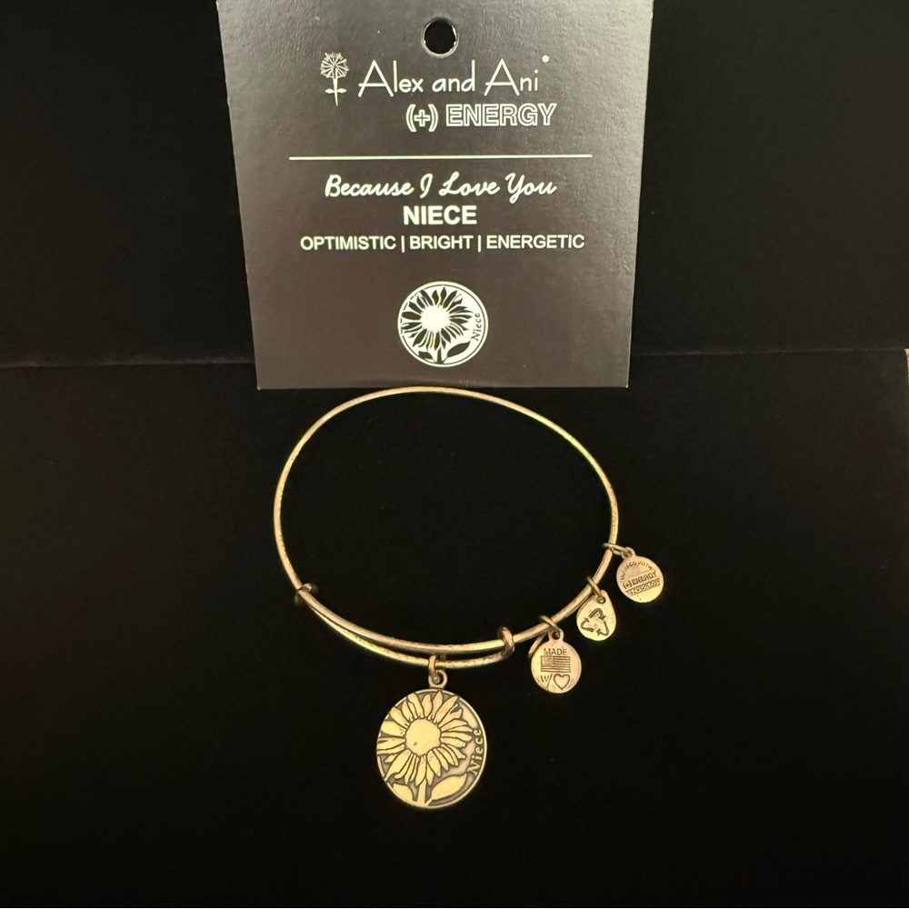 Alex and Ani Gold Niece Expandable Charm Bracelet
